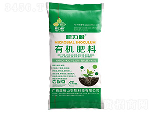 �ЙC(j��)����-������-���ɽ