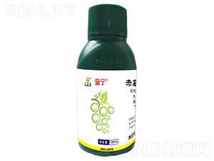 �ό��{(di��o)��(ji��)��-�������