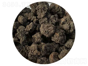 ���w���u�S-ʥ������