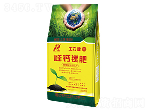 ���}�V��-������-���(y��ng)����