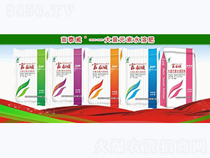 ����Ԫ��ˮ�ܷ�-��̩��-�º��S