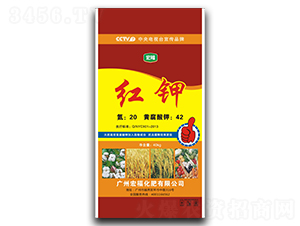 �t�-�������