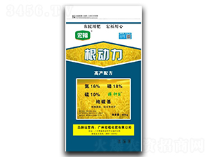 ����(d��ng)��-�������