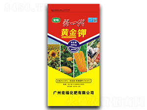 ��һ���S���-�������