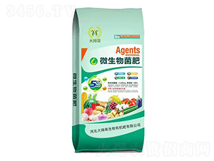 5�|΢�������-��Ĵ��