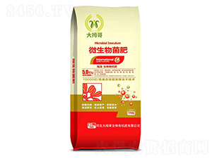 ���������ЙC(j��)��-΢�������-��Ĵ��