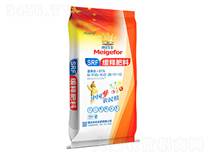 ��ጷ���28-11-12-�긣��ʢ