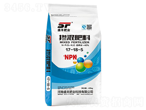 �������17-18-5-ʢ�S�ʘI(y��)