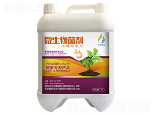 �����ޏ�(f��)�;���-���W��(r��n)��