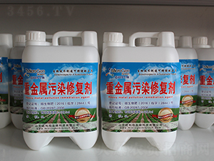 �ؽ����k�����ޏ�(f��)����-�~��������