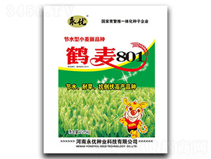 �Q��801С���N��-����(y��u)�N�I(y��)