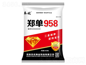 ����958������t��-���׷N��-����(y��u)�N�I(y��)