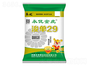 ����29���׷N��-����(y��u)�N�I(y��)