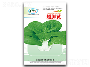 ���_�S-��˷N��-���P�N�I(y��)