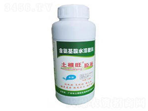 ԭҺ-������