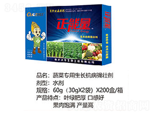 �߲ˌ������L�������ф�-������