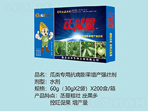 ����ÿ���������a���ф�-������