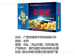 �V�V��ֲ�����L�������ф�-������