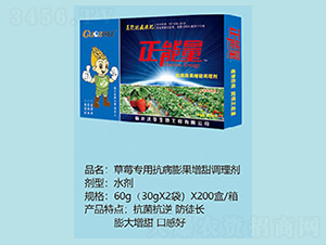 ��ݮ���ÿ�����������{�턩-������