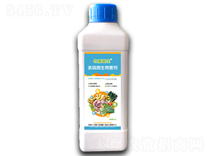 ����΢�������-���d����