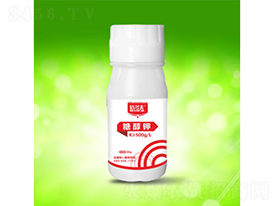 �Ǵ��-�����