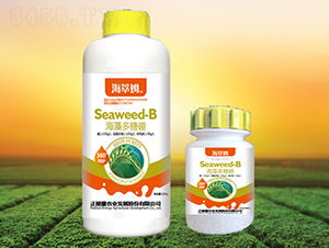 ���������-����ķ-������