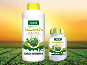 ��������\-����ķ-������