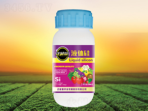 Һ�w��-������