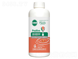 1300g�����-������