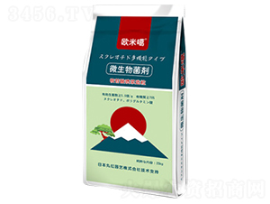 ΢�������-�W�׸�-�Ƃ��d��