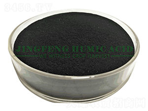 ��ˮ�ܸ�ֲ����|(zh��)��ĩ-���S��ֲ��