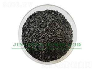 ��ֲ�᲻Ҏ(gu��)�t�w��-���S��ֲ��