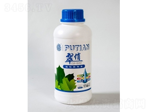 ����-����Ƽ�