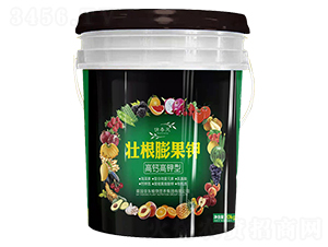 ���}����͉Ѹ�����-���|����