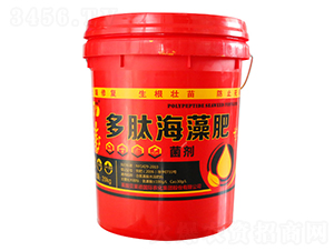 ���ĺ����-���|����