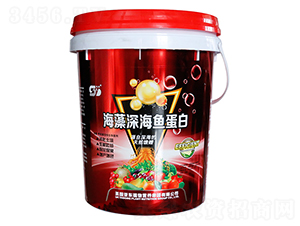 ������~����-���|����