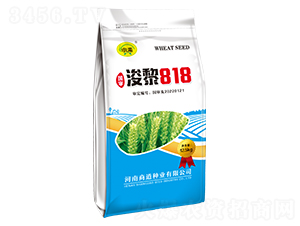 ����818-С���N��-�̵��N�I(y��)