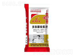 �������@����-���R��