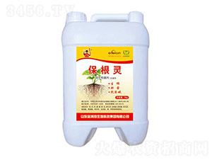 �����`΢�������-��M��