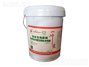 ��ľ���܌��Ï�(f��)���������-��M��