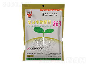 �ͺ�΢�������863-��M��