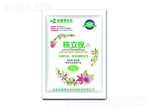 �����F(xi��n)-��W