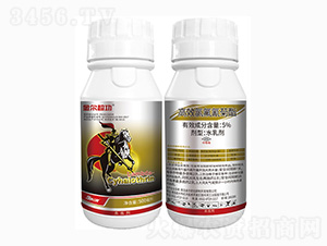 5%��Ч�ȷ������-�𠖳���-���r(n��ng)��