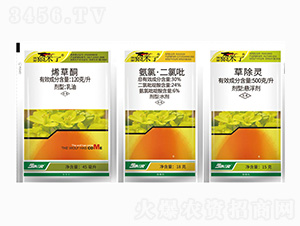 ���{���Ͳˌ��������݄�-�Ͳ��ǁ���-���r(n��ng)��