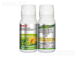 40%2�ס��p��-�����_-���r(n��ng)��