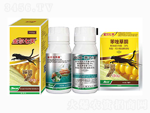 30%�����ͪ+24%���ס�ݬȥ��-������-���r(n��ng)��