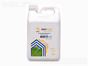 �Ǵ��}-������