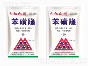 10%����¡-��t����-����ꖹ�