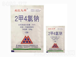 56%2��4���c�ۄ�-��t����-����ꖹ�