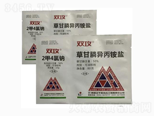 50%2��4���c+50%�ݸ���@�}-�p��-����ꖹ�